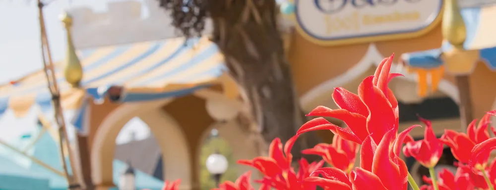 Waar kan je het beste goedkoop lunchen en dineren in de Efteling